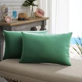 Winston Porter Alasca Knife Edge Indoor/Outdoor Throw Pillow Polyester/Polyfill/Acrylic in Green | 14 H x 24 W x 13 D in | Wayfair WF027711SP