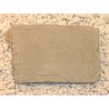 Nichols Bros. Stoneworks Fossil Stepping Stone Concrete, Copper in Gray | 1.5 H x 17 W x 10.5 D in | Wayfair GNSSF-AG