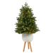 The Holiday Aisle® Washington 4' Green Fir Artificial Christmas Tree w/ 50 Clear Lights in Green/White | 48 H x 23 W in | Wayfair