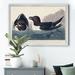 August Grove® Razor Billed Auk - Picture Frame Print on Canvas Canvas, Solid Wood in Blue/Brown | 26.5 H x 36.5 W x 1.5 D in | Wayfair