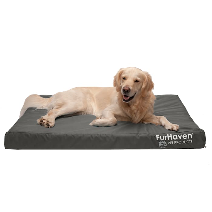 Indoor/Outdoor Deluxe Full Support Pet Bed, 40" L X 32" W X 4" H, Stone Gray, X-Large