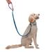 Classic Navy Easy-Tether Reflective Bungee Dog Leash, 72" L, .64 LB, Blue