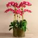 Vivian Rose Orchid Floral Arrangement in Vase Silk, Glass in Red/Pink | 33 H x 26 W x 26 D in | Wayfair OP-E-1