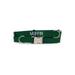 Coastal Pet Products Personalized Hunter Adjustable Dog Collar with Metal Buckle, Large, Green