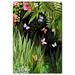 Oliver Gal Garden & Butterflies Gardens - Painting Canvas in Black | 45 H x 30 W x 1.5 D in | Wayfair 30068_30x45_CANV_XHD