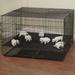 ProSelect Dog Pen Metal in Black | 48 H x 48 W x 30 D in | Wayfair ZW064 42 17