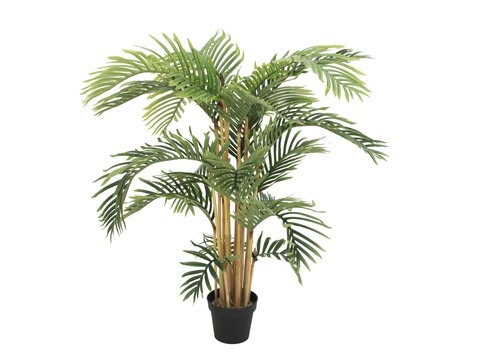 EUROPALMS Kentia Palme, Kunstpflanze, 140cm Image