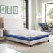 Twin 10" Memory Foam Mattress - Nautica Home Calm | 10 D in Wayfair IMGELN4100TXL