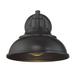 Highland Dunes Misti English Bronze Outdoor Barn Light Metal/Steel in Brown/Gray | 7.5 H x 8 W x 9.25 D in | Wayfair BCHH6192 39867659