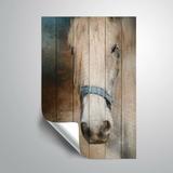 Union Rustic Old Mare Removable Wall Decal Vinyl in Brown | 18 H x 12 W in | Wayfair 18D6BE06971744CF9D7AEFCC5F2F3F9A