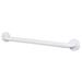 CSI Bathware ADA Stainless Steel 48" Grab Bar Metal in White | 1.25 H x 1.25 D in | Wayfair BAR-SB48-TW-125-PW