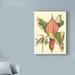 Charlton Home® 'Botanical Fantasy I' Acrylic Painting Print on Wrapped Canvas in Brown/Green/Red | 19 H x 14 W x 2 D in | Wayfair
