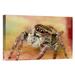 East Urban Home 'Jumping Spider Portrait, Reunion' Photographic Print, Wood in Brown/Orange | 12 H x 18 W x 1.5 D in | Wayfair URBP0581 41067864