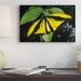 East Urban Home 'Goliath Birdwing Butterfly Male, Rare Species, Irian Jaya, Indonesia ' Framed Photographic Print on Canvas Canvas | Wayfair