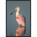 East Urban Home 'Roseate Spoonbill, Fort Myers Beach, Florida' Framed Photographic Print in Blue | 18 H x 12 W x 1.5 D in | Wayfair