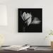 East Urban Home 'Amaryllis Stage, B&W' By Magda Indigo Graphic Art Print on Canvas Canvas, in Black/Gray/White | 12 H x 12 W x 0.75 D in | Wayfair