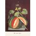 Buyenlarge Watermelon Painting Print in Brown/Green/Red | 42 H x 28 W x 1.5 D in | Wayfair 0-587-04361-xC2842