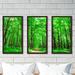 Picture Perfect International Bright Summer Forest Ii - 3 Piece Picture Frame Photograph Print Set on Acrylic in Black/Green | Wayfair