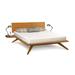 Copeland Furniture Astrid Platform 2 Piece Bedroom Set Wood in Red | Queen | Wayfair Composite_840AE477-6B12-40FD-A21E-404B544248D3_1557513214