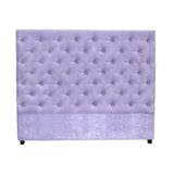 My Chic Nest Leigh Panel Headboard Upholstered/Velvet/Polyester/Cotton in Black | 65 H x 64 W x 5.9 D in | Wayfair 550-106-1120-Q