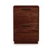 Copeland Furniture Linear 2-Drawer Vertical Filing Cabinet Wood in Red/Brown | 26.88 H x 18 W x 18.5 D in | Wayfair 4-LIN-20-33