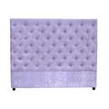 My Chic Nest Leigh Panel Headboard Upholstered/Velvet/Polyester/Cotton in Black | 65 H x 80 W x 5.9 D in | Wayfair 550-106-1120-K