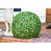 Charlton Home® Floor Boxwood Topiary Plastic | 21.5 H x 21.5 W x 21.5 D in | Wayfair A609E40E0FB44728A36DA04335CCBA09