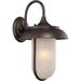 Gracie Oaks Bentleyville Mahogany Bronze 1 - Bulb Outdoor Barn Light Glass/Metal in Brown | 16.38 H x 10 W x 11.25 D in | Wayfair