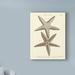 Highland Dunes 'Striking Starfish I' Graphic Art Print on Wrapped Canvas Canvas | 19 H x 14 W x 2 D in | Wayfair 0F1DC59D59AC4842AFF9BCA237321A71