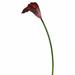 House of Hampton® Artificial Large Stem Calla Lily Plastic | 28 H x 5 W x 5 D in | Wayfair HOHM3311 35267632