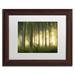 Trademark Fine Art "Enchanted World" by Mathieu Rivrin Framed Photographic Print Canvas in Green | 11 H x 14 W x 0.5 D in | Wayfair RV0036-W1114MF