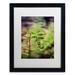 Trademark Fine Art Growth of the Forest Floor Framed Photographic Print Canvas, Wood in Green | 14 H x 11 W x 0.5 D in | Wayfair MFG0024-B1114MF