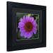 Trademark Fine Art "Purple Coneflower" by Kurt Shaffer Framed Photographic Print Canvas | 11 H x 11 W x 0.5 D in | Wayfair KS01202-B1111BMF