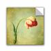 Winston Porter Judy Stalus Red Tulip 3 Removable Wall Decal Vinyl | 10" H x 10" W x 0.1" D | Wayfair 8290AA57AF264F6094ECA95E0B34A0D8