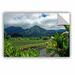 ArtWall A Taro Farm in Hanalei by Kathy Yates Photographic Print Removable Wall decal in Green | 12 H x 18 W in | Wayfair 0yat050a1218p