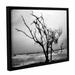 ArtWall Hanging On by Steve Ainsworth Framed Photographic Print on Wrapped Canvas in Black/White | 8 H x 10 W x 2 D in | Wayfair 0ain015a0810f