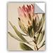 Winston Porter Judy Stalus Protea A Removable Wall Decal Vinyl | 10" H x 8" W x 0.1" D | Wayfair 6008C70A4EDE4889AA6A713D1593644D