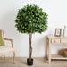 Charlton Home® Artificial Ficus Tree in Planter Polyester/Plastic | 66 H x 18 W x 18 D in | Wayfair DA2570E242FD4CD1BD2DEFE857887CAD