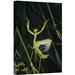 East Urban Home Mediterranean Mantis Female - Photograph Print on Canvas in Green | 18 H x 12 W x 1.5 D in | Wayfair NNAI1037 39911867