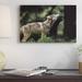 East Urban Home Oregon Portland Oregon Zoo 'Timber Wolf Pups Howling' - Photograph Print on Canvas in Black/Green | 12 H x 18 W x 1.5 D in | Wayfair