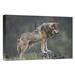 East Urban Home North America ' Wolf' - Photograph Print on Canvas in Gray | 12 H x 18 W x 1.5 D in | Wayfair NNAI2900 39913743