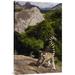 East Urban Home Madagascar Near Andringitra Mountains 'Ring-Tailed Lemur' - Photograph Print on Canvas in Gray/Green | Wayfair NNAI3353 39914197