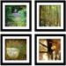 Red Barrel Studio® 'Magical Forest' 4 Piece Framed Photographic Print Set Paper in Green | 10 H x 10 W x 0.6 D in | Wayfair RDBT6893 42961000