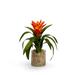 T&C Floral Company Tropical Bromeliad Centerpiece in Glass Jar Faux Silk in Orange | 13 H x 11 W x 11 D in | Wayfair F1419GO