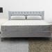 Twin Firm 8" Innerspring Mattress - Spinal Solution & Box Spring | 74 H x 76 W 8 D in Wayfair SC10-3/3-2