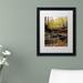 Millwood Pines 'Lakeview Autumn Falls Matted Framed Photographic Print in Canvas in Green/Yellow | 14 H x 11 W x 0.5 D in | Wayfair