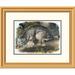 Global Gallery Canada Lynx by John James Audubon Framed Painting Print Paper in Green | 21.38 H x 26 W x 1.5 D in | Wayfair DPF-265880-16-102