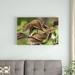 East Urban Home 'Fantastic Leaf-Tail Gecko Mimicking Leaves' Photographic Print on Canvas in Brown/Green | 12" H x 18" W x 1.5" D | Wayfair