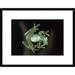 East Urban Home 'Glass Frog' Framed Photographic Print on Canvas in Black/Green | 18" H x 24" W x 1.5" D | Wayfair DCF4EC1F71E5484AA881105F8D8786BC