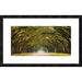 Global Gallery 'Path lined w/ oak trees' Framed Graphic Art Metal in Black/Green/Yellow | 20 H x 32 W x 1.5 D in | Wayfair DPF-463380-1224-257